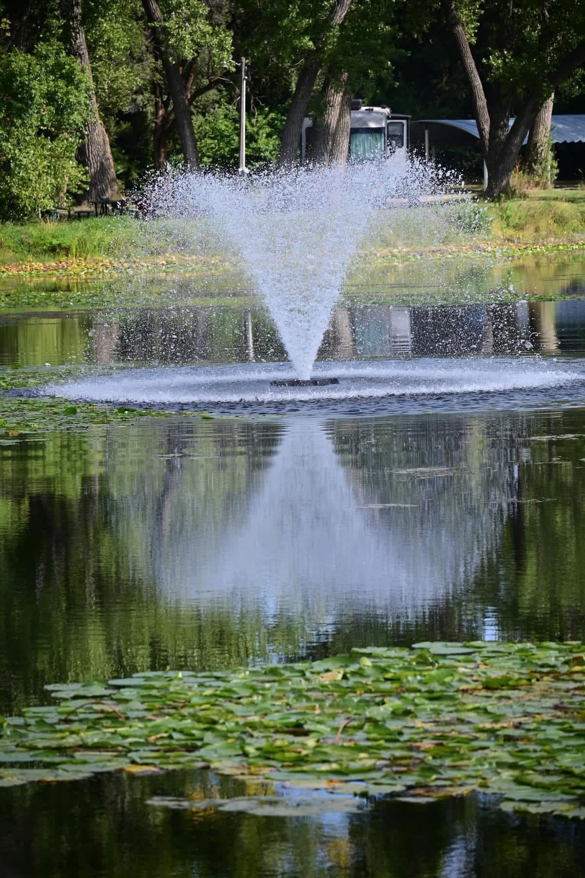 AlgaeKilling Fountains Finally Running Arnold Rotary
